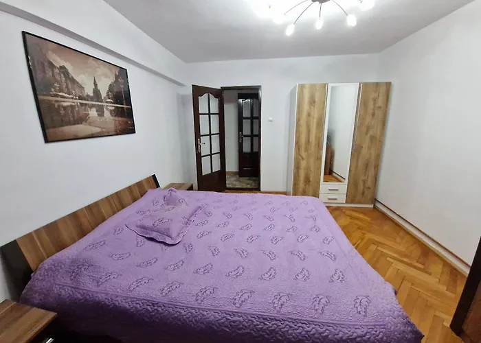 Amedeea Accomodation 2